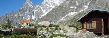 Saussurea Alpine Botanical Garden